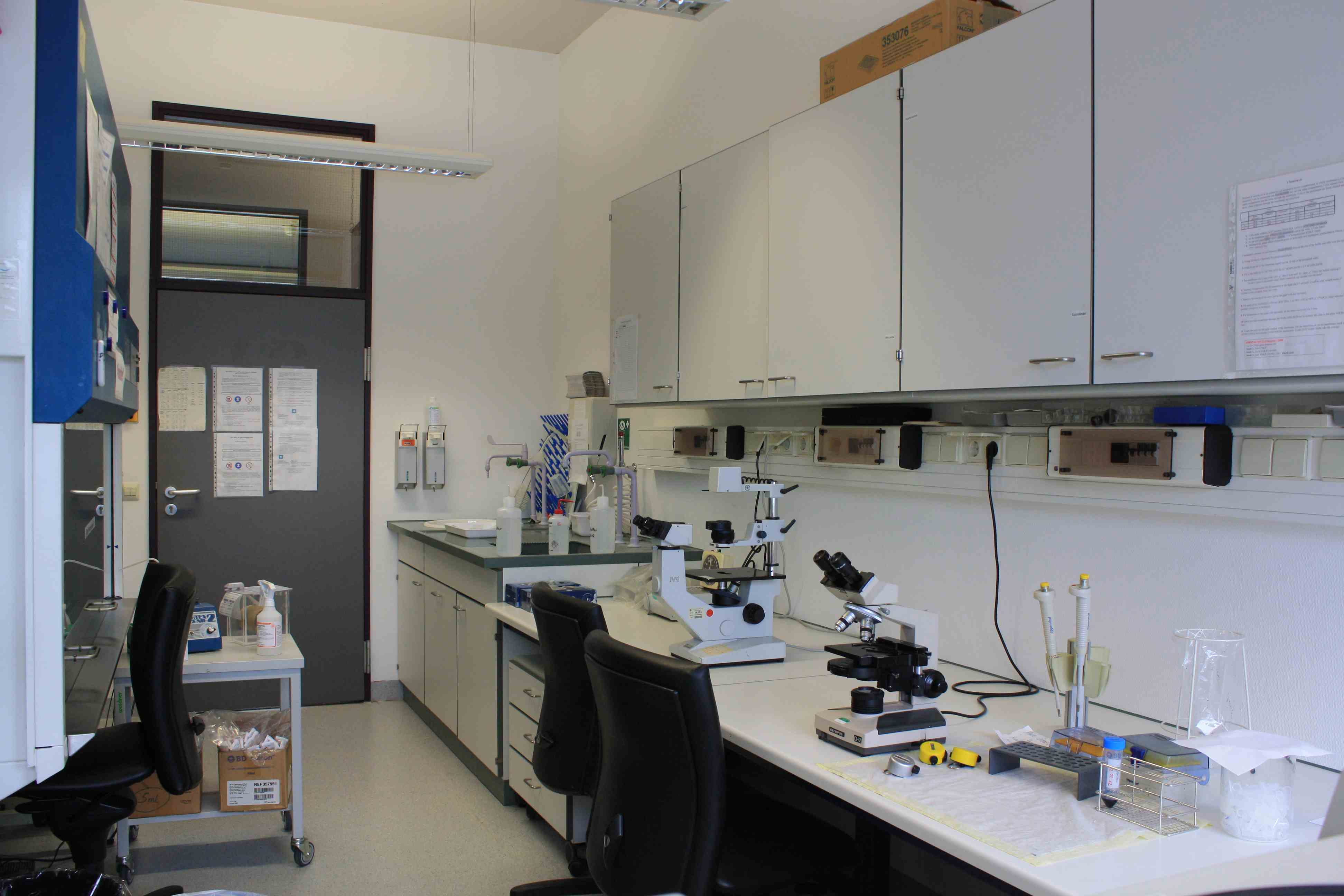 cell-cultutre-room