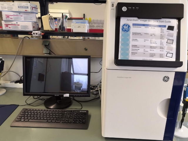 Imaging system